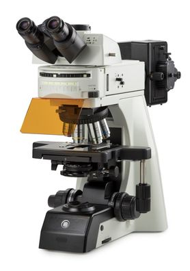 DX.3153-APLi/ HAL Euromex Delphi-X Trinokulares Fluorescence Mikroskop