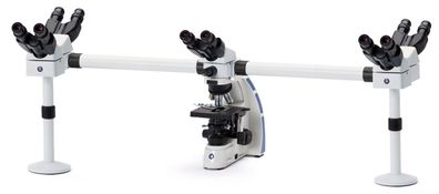 OX.5605 Trinokulartubus Oxion Mikroskop mit 5 Köpfen Multi Head Microscope