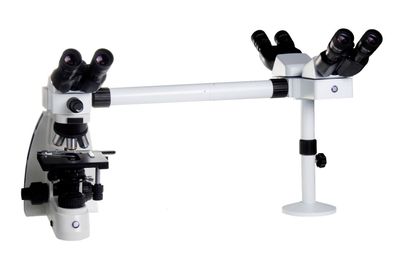 OX.5603 Trinokulartubus Oxion Mikroskop mit 3 Köpfen Multi Head Microscope