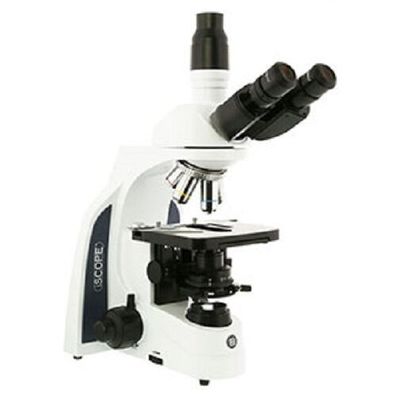 Euromex iScope für Phasenkontrast IOS IS.1153-PLPHi trinokulares Labormikroskop