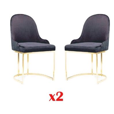 Ess Zimmer Möbel Set 2x Stuhl Luxus Neu Blau Neu Elegant Modern Stuhl Holz