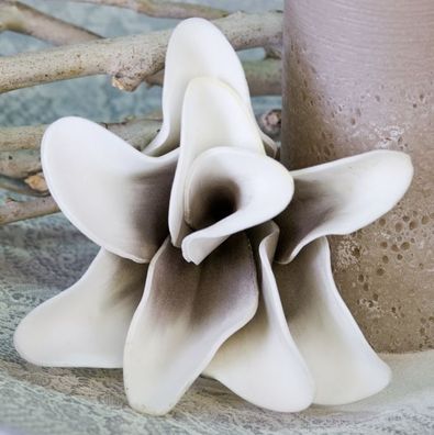 28523 Deko Blume Foam Flower "Rumba" Schaumstoff Blüte mit Durchmesser 15cm