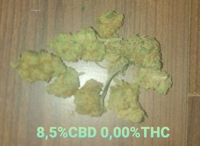 CBD Blüten , , White Widow" 8,5%CBD Premium Qualität