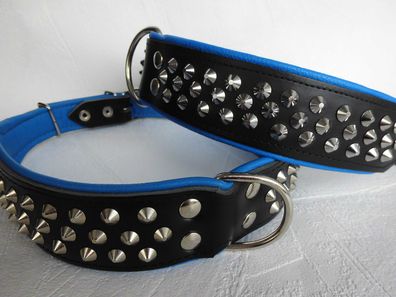LEDER Halsband - Hundehalsband, mit NIETEN Halsumfang 61-72 cm, NEU mit Blau