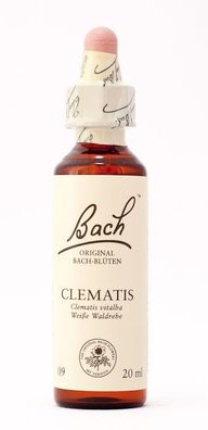 Nelsons - Original Bach®, Stockbottle, englische Bachblüten, 20 ml