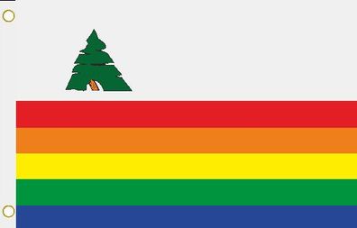Fahne Flagge Santa Cruz County (Kalifornien) Hissflagge 90 x 150 cm