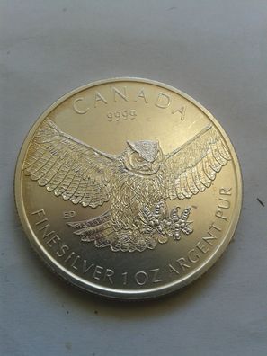 5$ Canada 5$ 2015 Kanada Owl Eule 5 Dollars 2015 Kanada birds of prey 1 Unze Silber