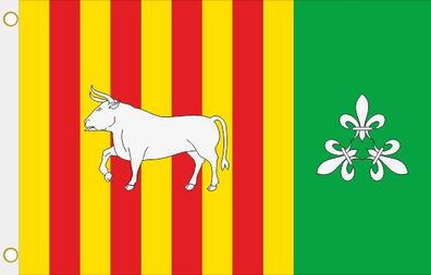 Fahne Flagge Borjas Blancas (Spanien) Hissflagge 90 x 150 cm