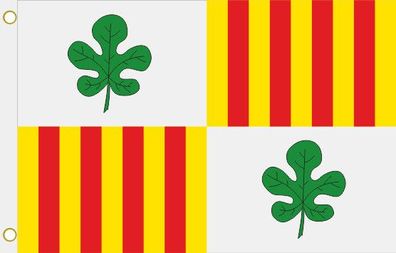Fahne Flagge Figueras (Spanien) Hissflagge 90 x 150 cm