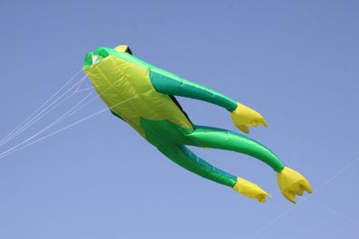 Fritz the Frog - Green (R2F)