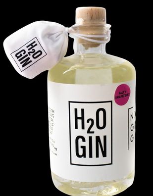 H2O Gin - Salty Grapefruit + B & Q Soda Water - So trinkt man G&T heute 0,5l