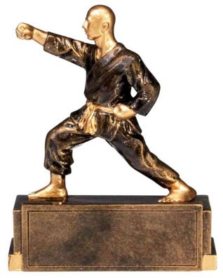 Karate Pokal Figur