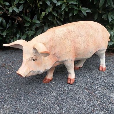 Gartenfigur Schweine Figur 83 cm lang