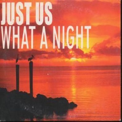 CD-Maxi: Just Us: What a Night (2001) Digidance VBZZ 116-3