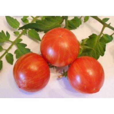 Tigerella Tomate Tomatensamen 10 Samen