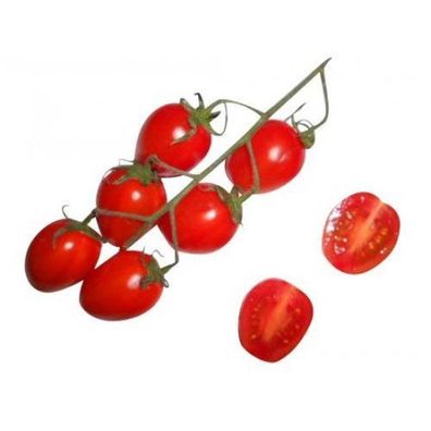 Mini-Flaschentomate -San Marzano- Tomate Tomatensamen 10 Samen