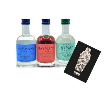 Haymans Gin Miniatur 3er tasting Set Old Tom 50ml (41,4% Vol) London Dry Gin 50