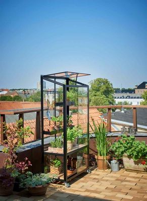 Gewächshaus Balkon Juliana Urban City Greenhouse 0,32m² 4mm SHG
