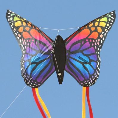 Eddy Schmetterling Rainbow (R2F)