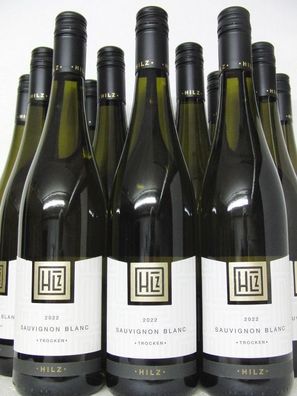 12 FL 2022 Sauvignon Blanc Weingut Klaus Hilz Pfalz Weißwein Versand kostenlos