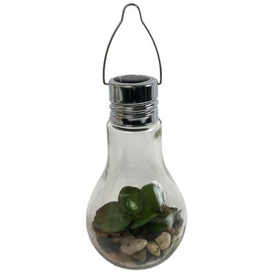 LED Lampe Glühbirne Lampe Glas Sukkulente zum aufstellen oder hängen Ø9 x H18cm