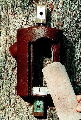 Naturschutzprodukt Baumläuferhöhle Satz 2 Stück Typ 2B H 26 cm aus Holzbeton