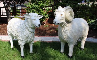 Gartenfiguren Schafbock und Schaf lebensgroß stehend H 64/72 cm Garten Deko