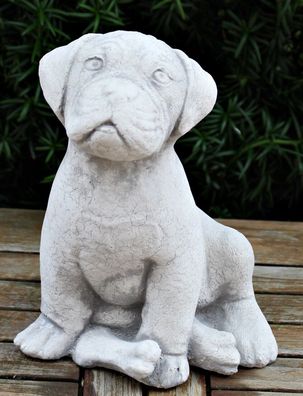 Deko Figur Hund Boxer Welpe sitzend H 22 cm Tierfigur Gartenfigur aus Beton