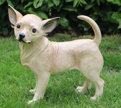 Deko Figur Hund Chihuahua stehend H 34 cm Tierfigur Gartenfigur aus Kunstharz