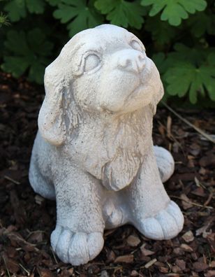 Dekofigur Deko Figur Gartenfigur Tierfigur Hund Welpe sitzend H 18cm klein Beton