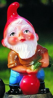Gartenzwerg mit Rübe Figur Zwerg H 22 cm Gartenfigur Dekozwerg aus Kunststoff