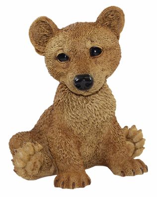 Dekofigur Tierfigur junger Bär sitzend Kollektion Castagna aus Resin H 22 cm