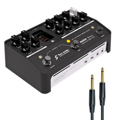 Two Notes ReVolt Bass Preamp Simulator mit Kabel