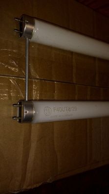 52,5 cm Länge U-Form LeuchtStoff-Lampe F40UT8/29 Made in Hungary GE warmweiss