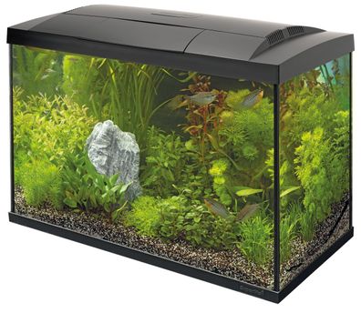 SF Tropical Set 70 Aquarium schwarz inkl. Filter, LED, Heizung usw.