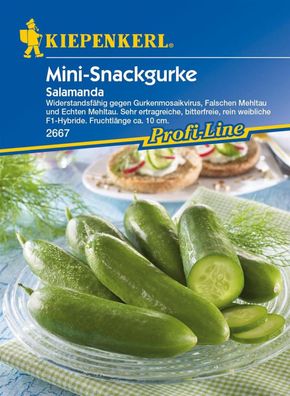 Mini-Snackgurke / Salatgurke Salamanda, F1