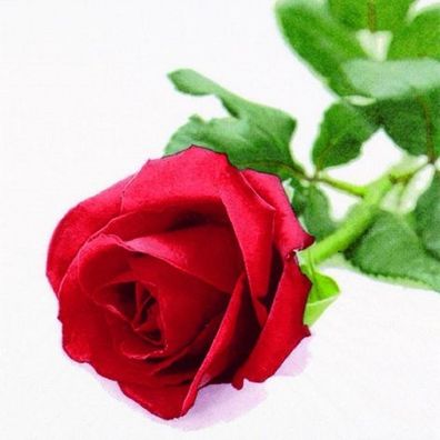 20 Servietten, Edle Rote Rose, Die Königin der Blumen 33 x33 cm