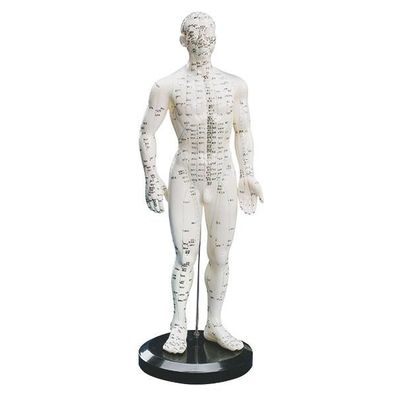 Akupunktur-Modell Mann Höhe ca. 50 cm