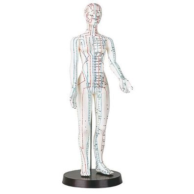 Akupunktur-Modell Frau Höhe ca. 50 cm