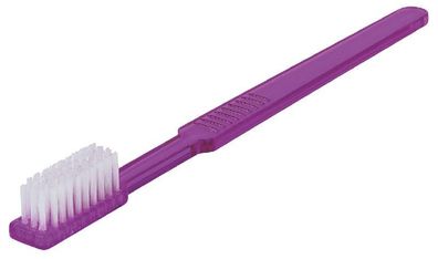 Einmal-Zahnbürsten violett mit Zahnpasta 100 Stück
