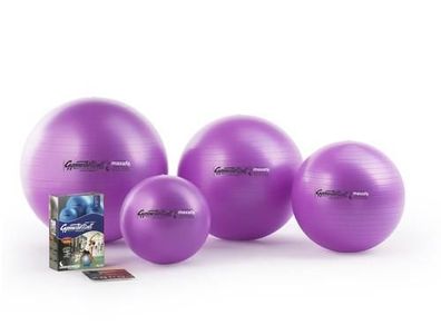 Pezzi-Ball Maxafe im Polybeutel Ø 53 cm purple