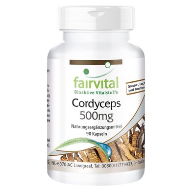 Cordyceps Pilzpulver 500mg - 90 Kapseln - vegan - fairvital