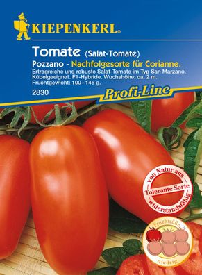 Tomate (Salat-Tomate) Pozzano, F1 - Nachfolgesorte für Corianne