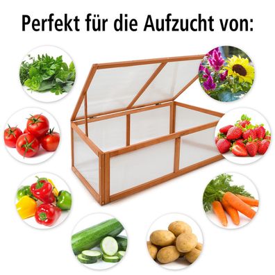 Frühbeet Aufzucht Herba