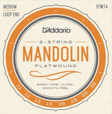 D'Addario EFW74 flatwound - loop End - Saiten für Mandoline