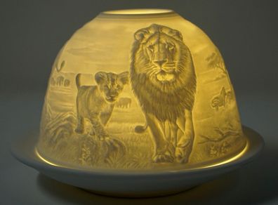 Dome Light Löwen Katze Tiere Afrika Panthera leo