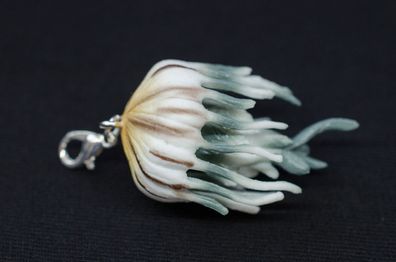 Qualle Quallen Charm Anhänger Bettelarmband Miniblings Charms Jellyfish Meduse
