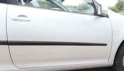 VW Golf 5 V 1K Tür Türblatt vorne rechts Beifahrertür 2/3-Türer silber LA7W KRAT
