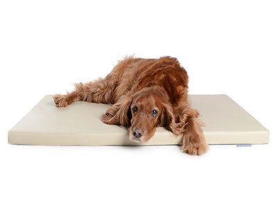 Orthopädische Hundematte "Mat" Kunstleder, creme Hundeliege
