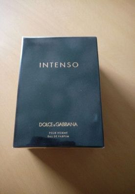 Dolce & Gabbana pour Homme Intenso Eau de Parfum 125ml EDP Men